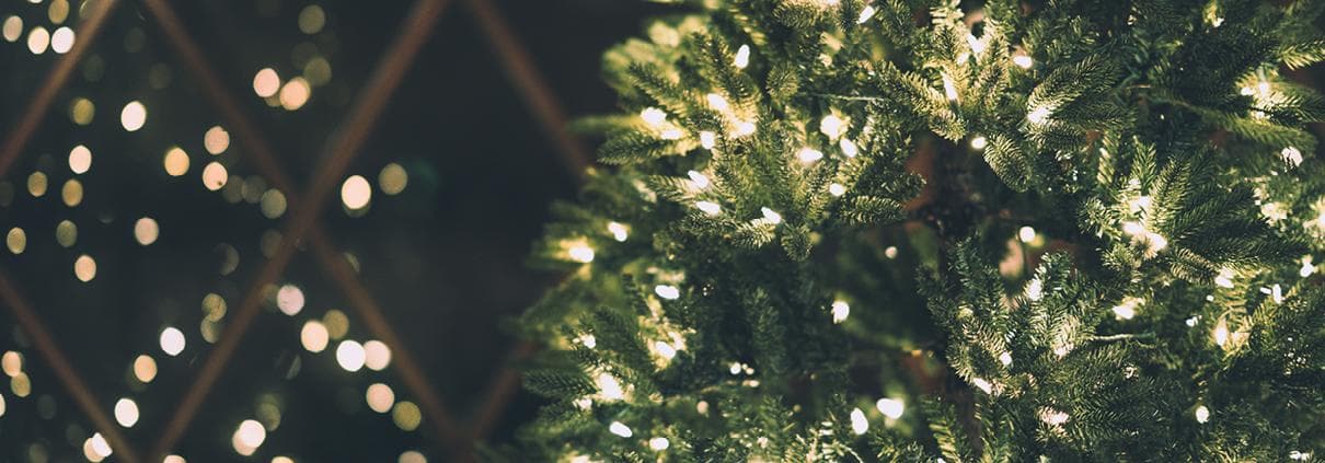 Das Jahr neigt sich dem Ende zu