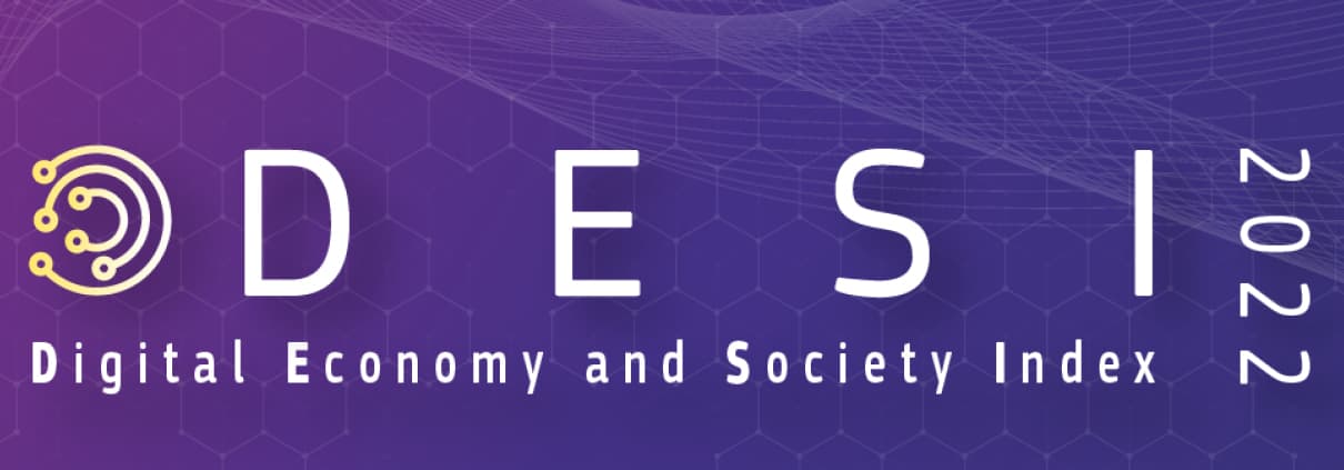 DESI-Index – Ergebnisse