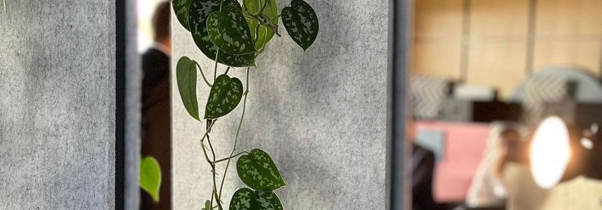 Hinter den Kulissen beim Shooting