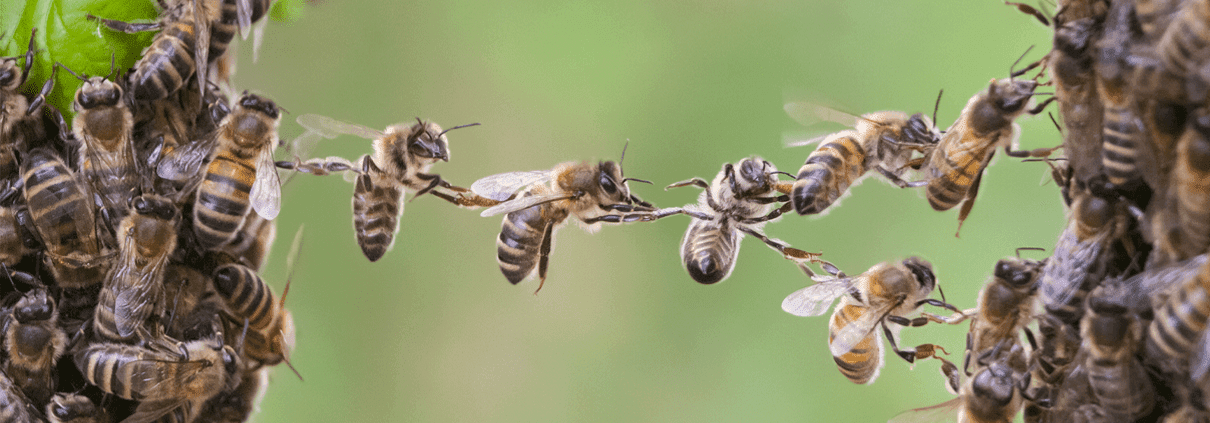 Unsere Partnerseite ist online!